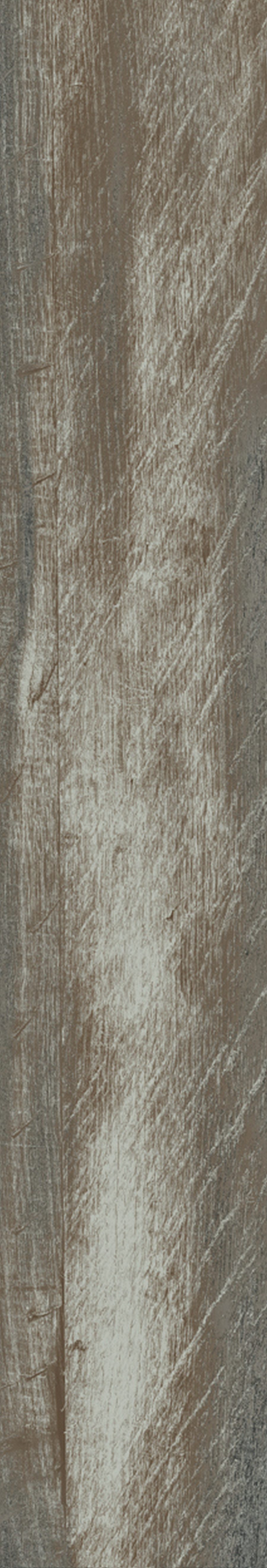 Product 8698541006999 image 19