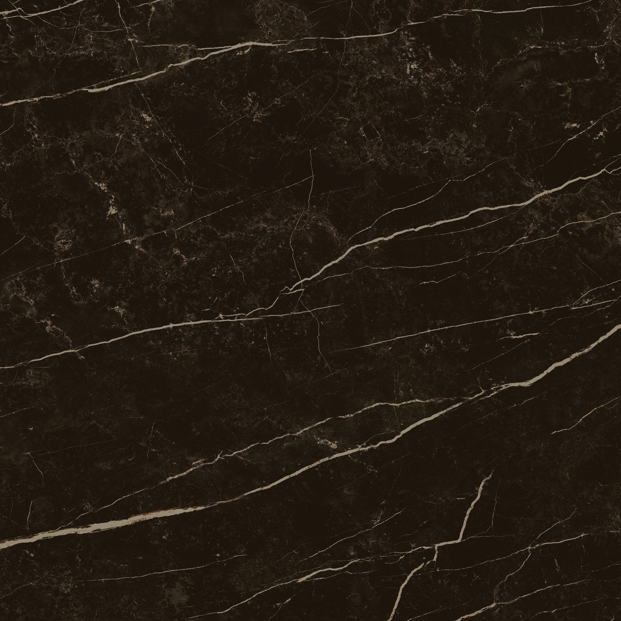 Product 8429991617646 image 3