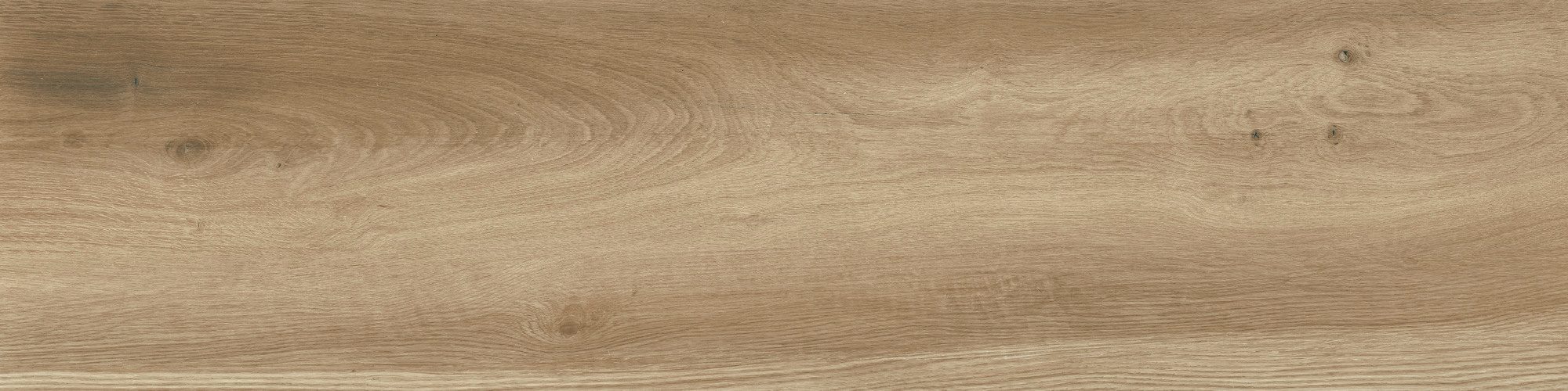 Product 8429991684242 image 9