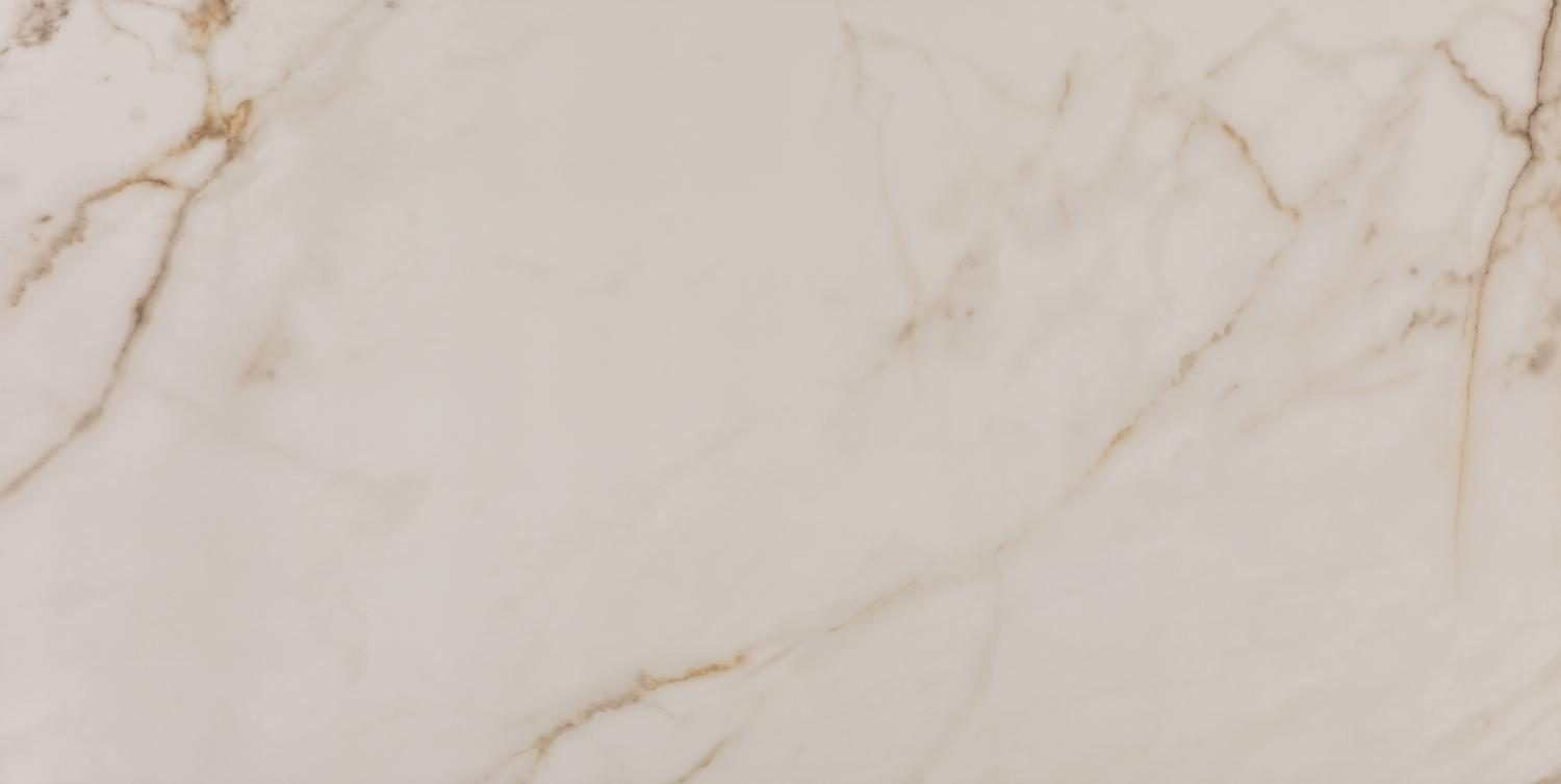 Product 6153500461490 image 1