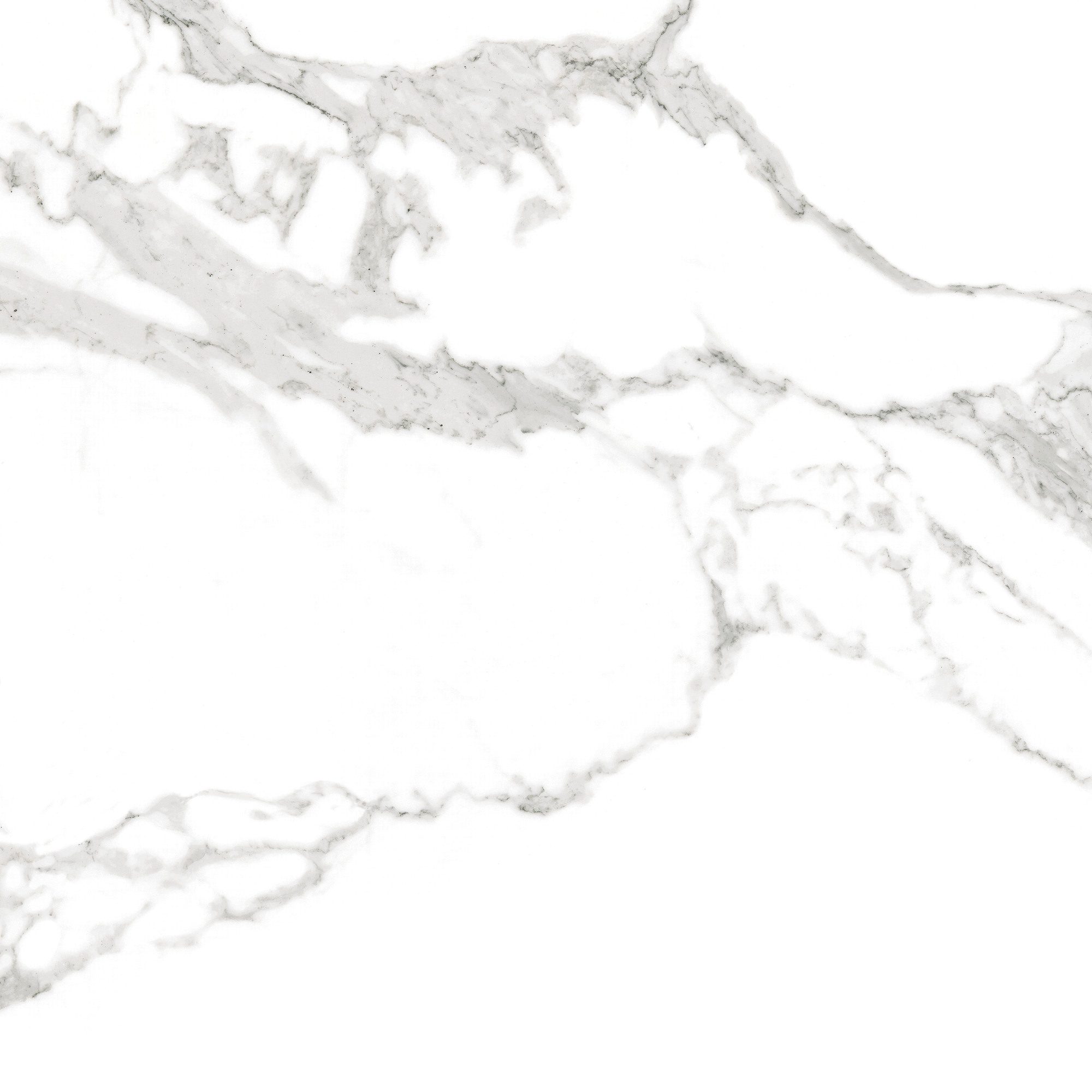 Product 8429991642969 image 6