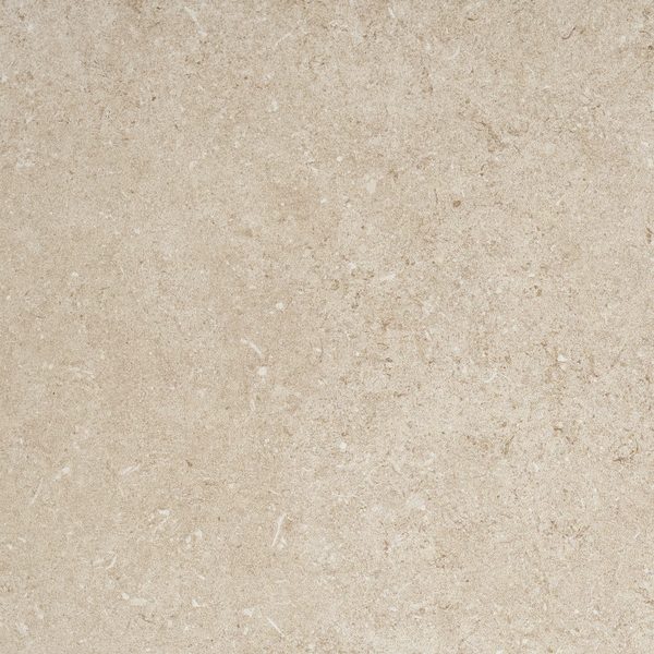 Product 6153503142174 image 1