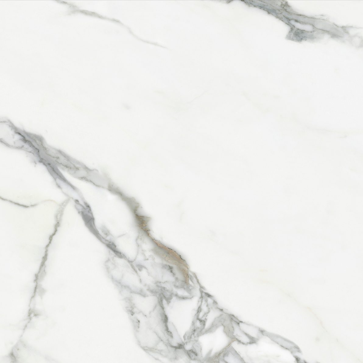 Product 6153500542502 image 1