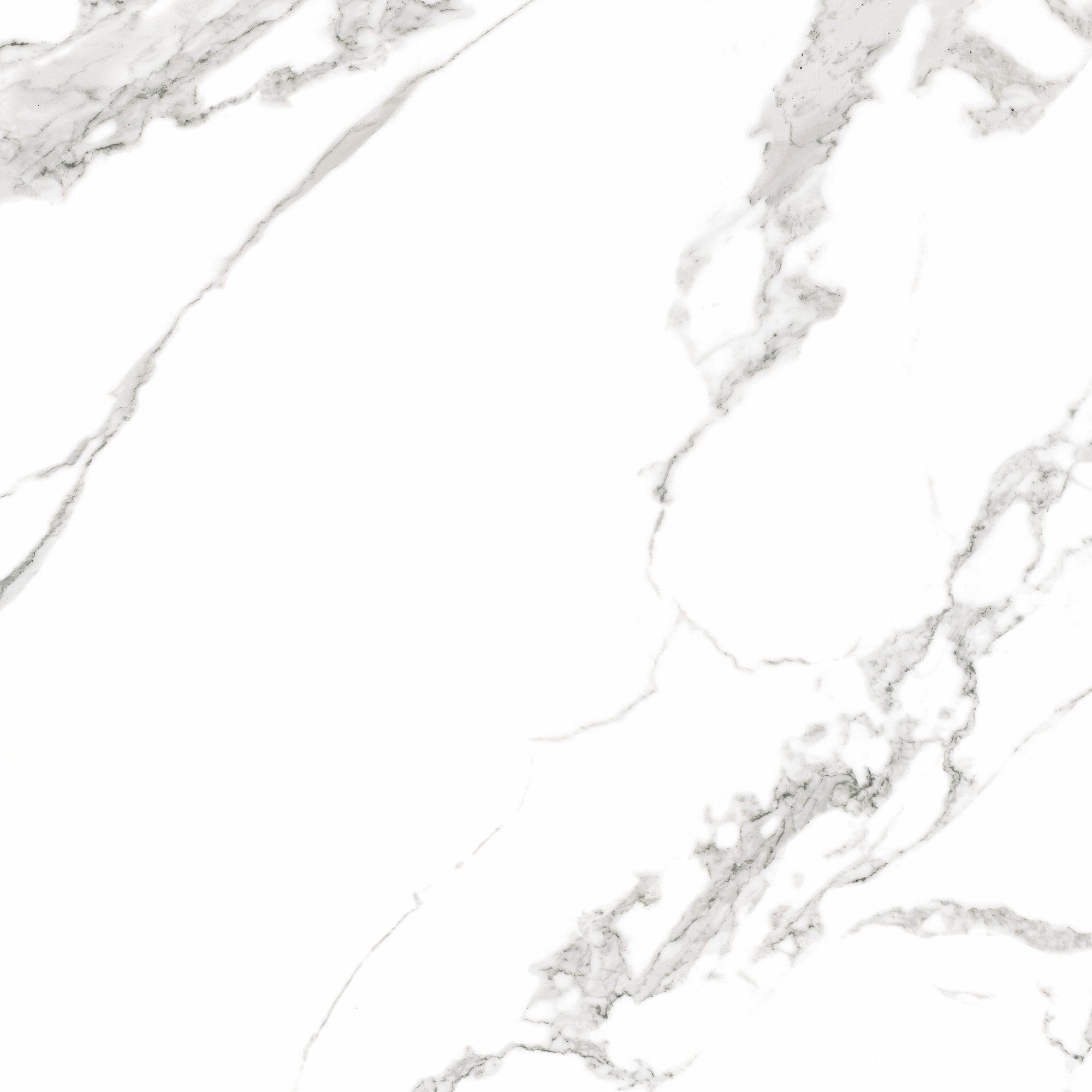 Product 8429991642969 image 5