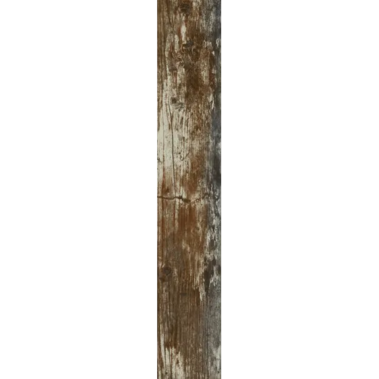 Product 8698541006999 image 6