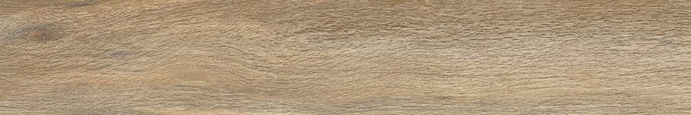 Product 6153500387387 image 1