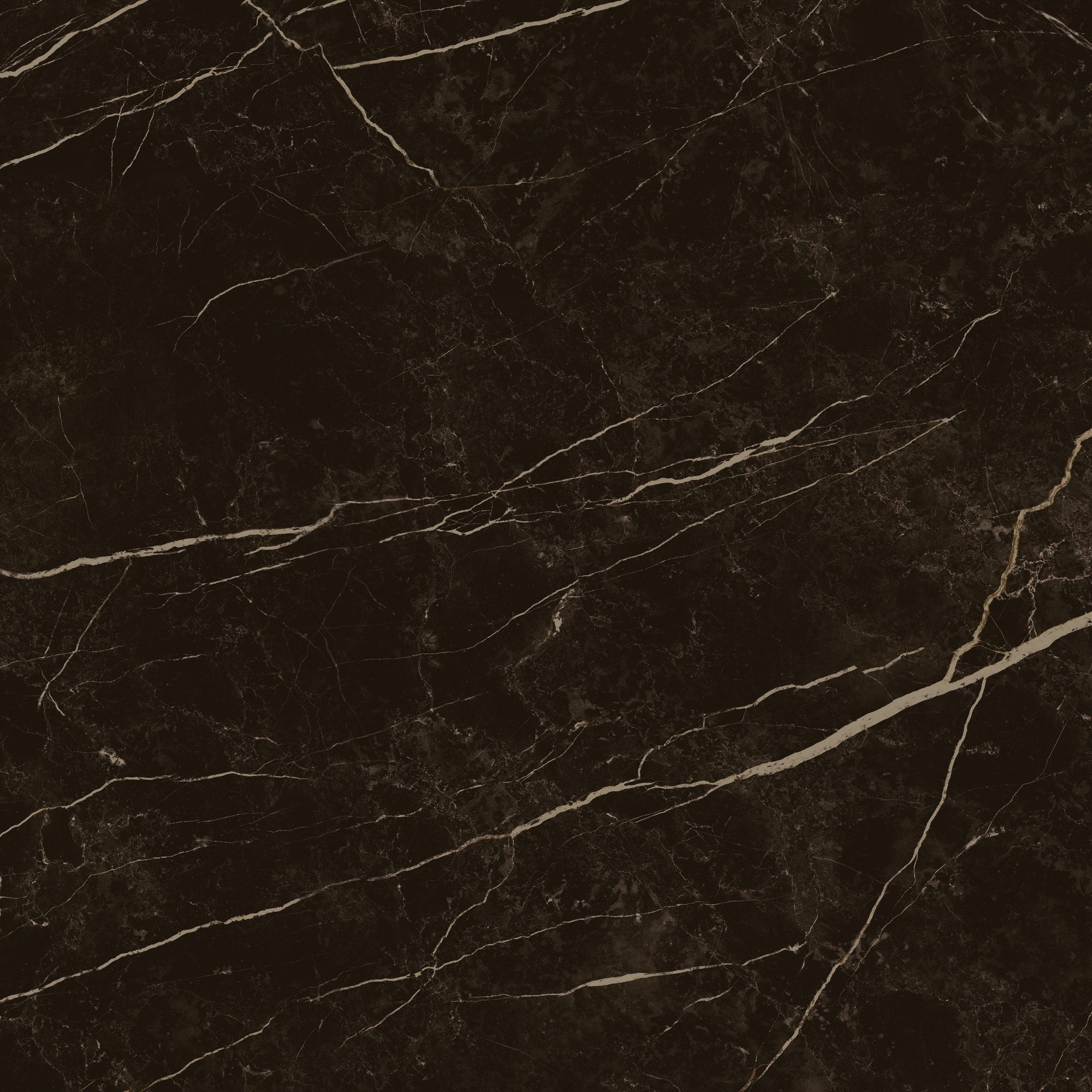 Product 8429991617646 image 4