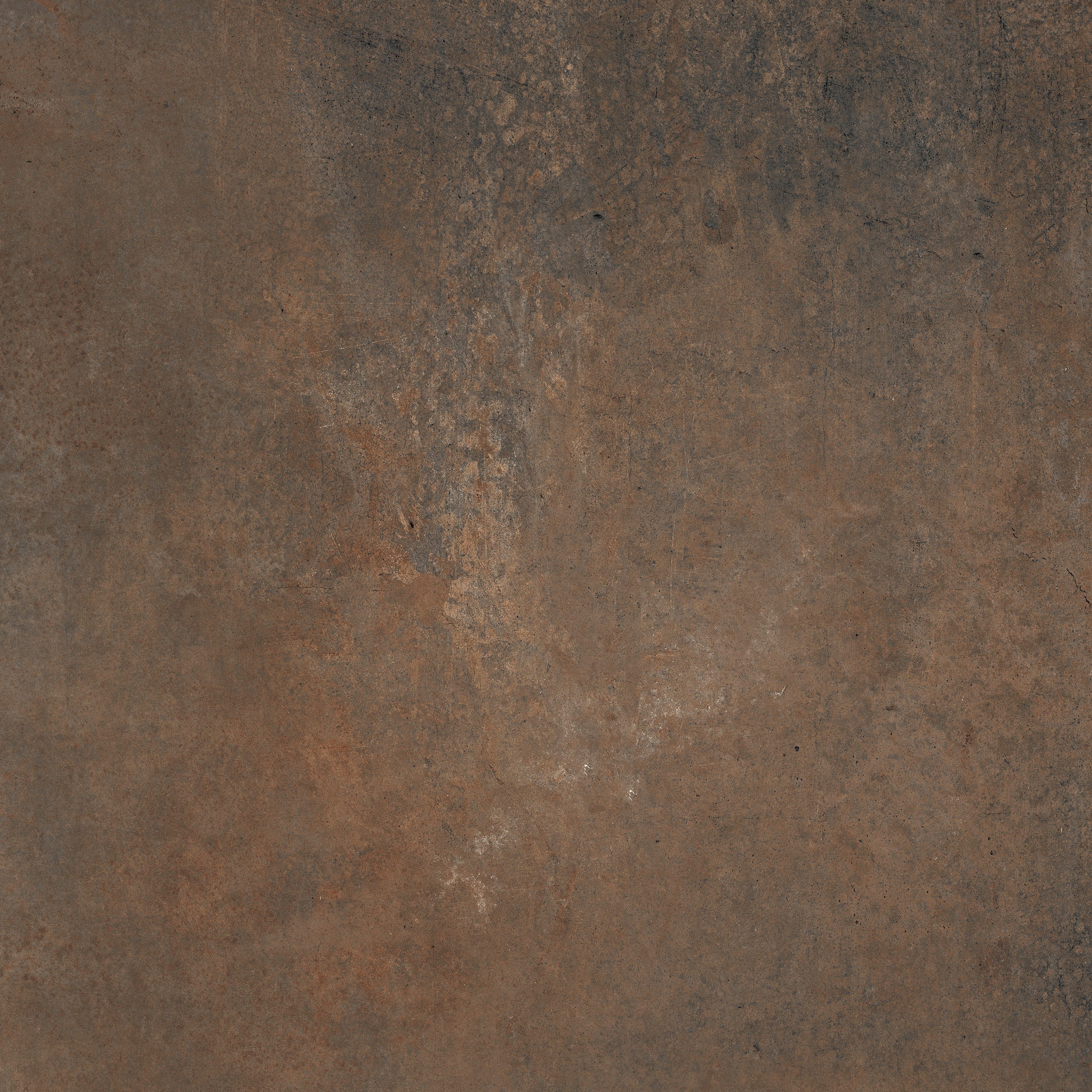 Product 8434459197691 image 4