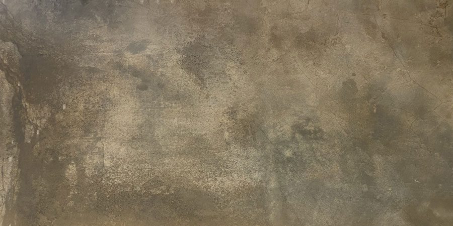 Product 8434459178324 image 2