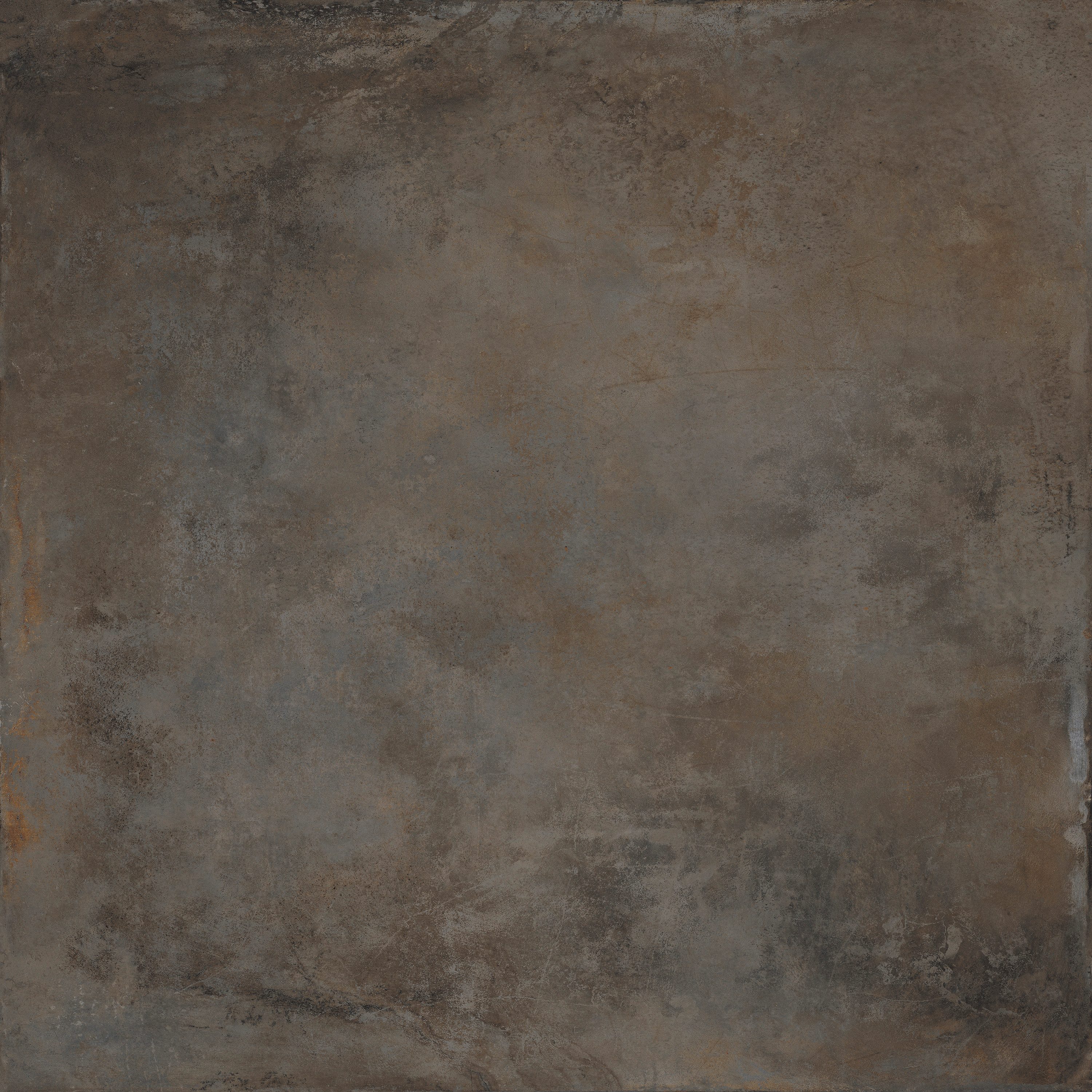 Product 8434459175187 image 5