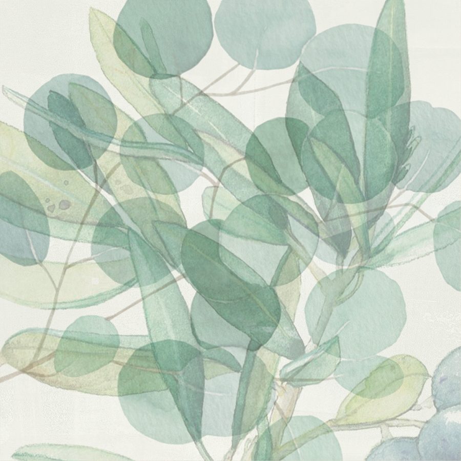 Product 8011634607918 image 15