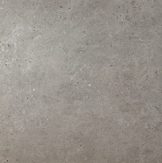 Product 8436550081442 image 1