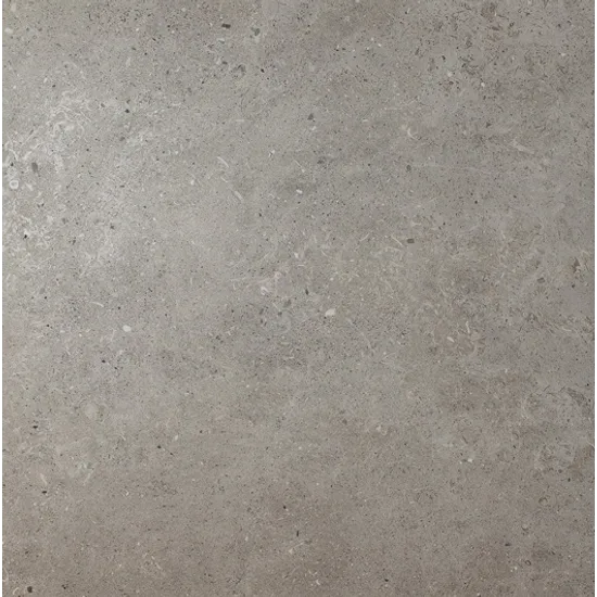 Product 8436550081442 image 1