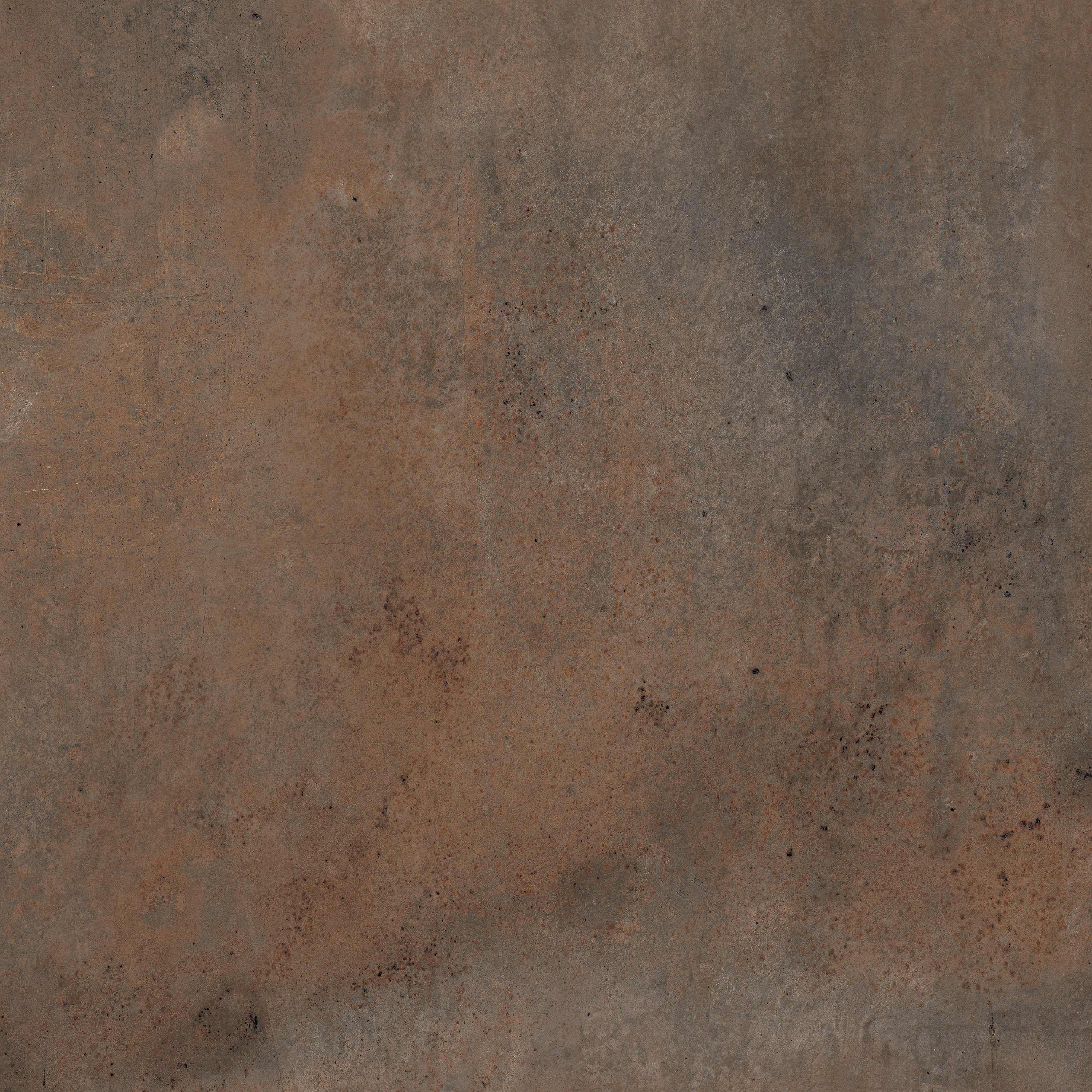 Product 8434459197691 image 5