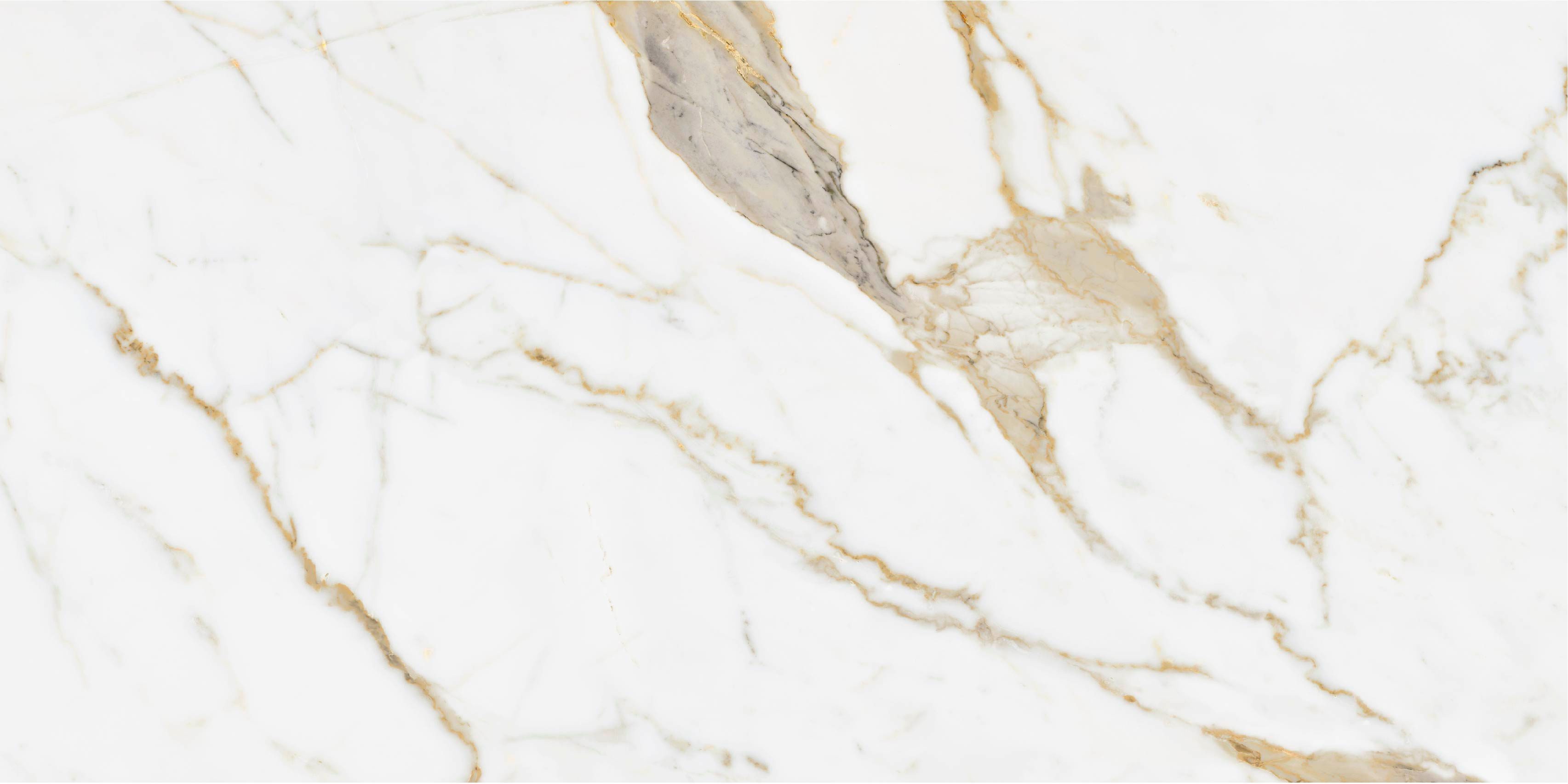 Product 8698541075186 image 8