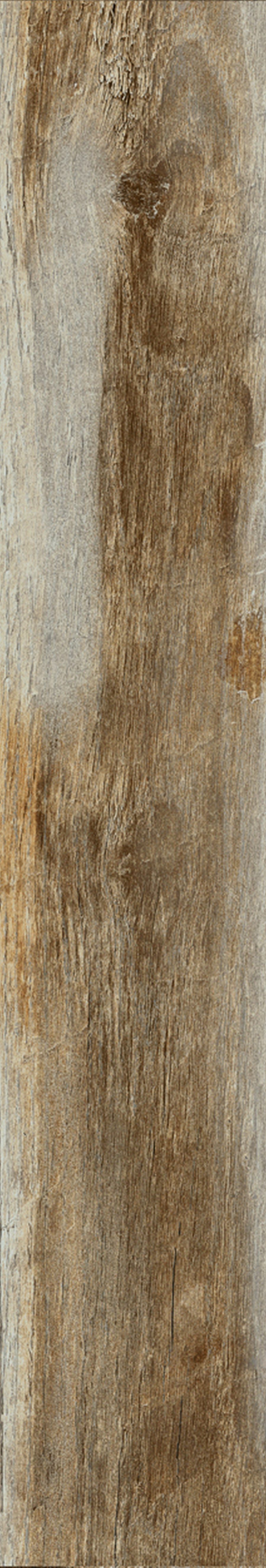 Product 8698541006999 image 9