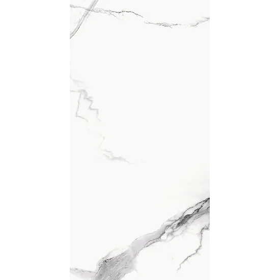 Product 6153500160133 image 1