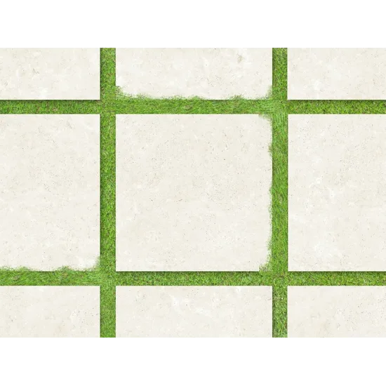 Product 8681575029065 image 3