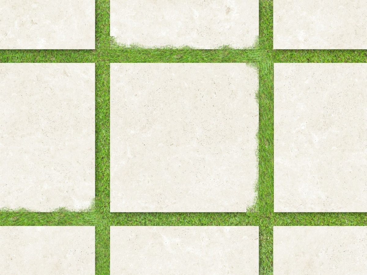 Product 8681575029065 image 3