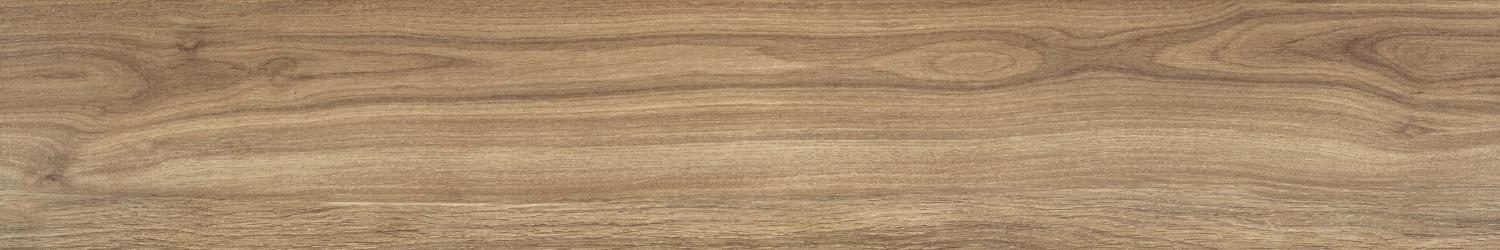 Product 6153501231252 image 1