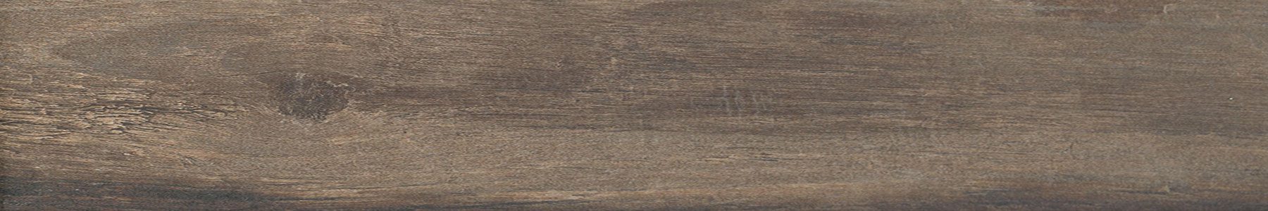 Product 8698541006999 image 1
