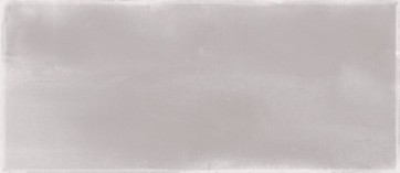 Tegels dante light grey uni 12,0x24,0cm