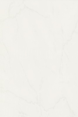 Tegels pisanino branco 33,3x50,0 cm