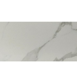 Tegels pisa marble mat rectified 29,8x60,0